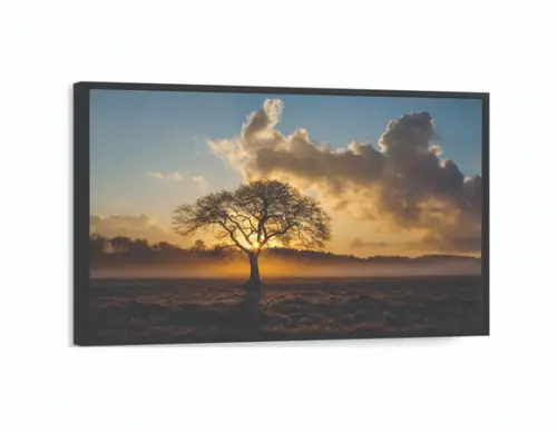 Quadros Decorativos Arvores Paisagem Pôr Do Sol Com Molduras