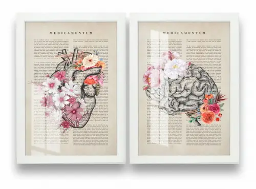 Quadros Decorativos Cérebro Coração Medicina Moldura e Vidro