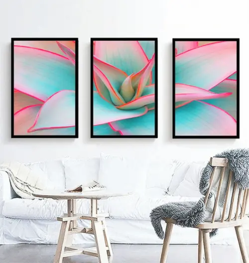 Quadros Decorativos De Flores Suculenta Azul Moderno Moldura