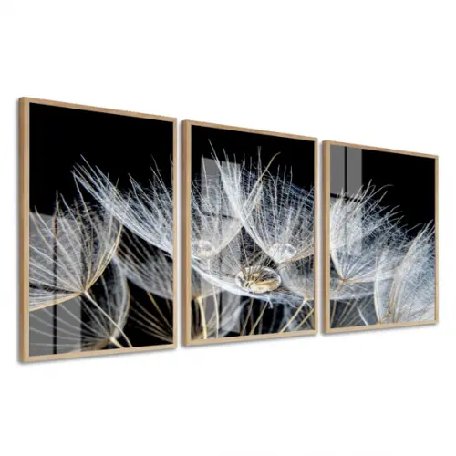 Quadros Decorativos De Vidro Dente De Leão Preto E Branco