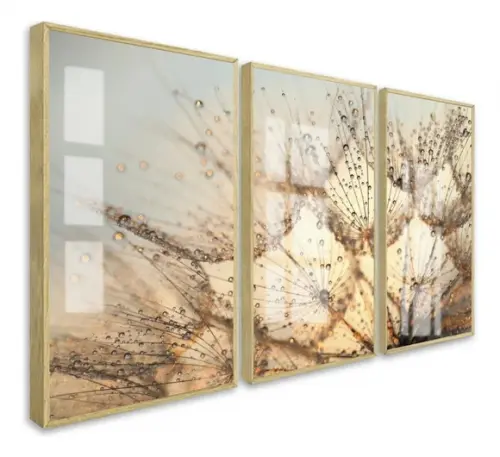 Quadros Decorativos Dente de Leão 50 x 70 Moldura e Vidro