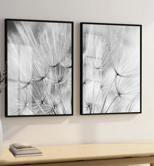 Quadros Decorativos Dente de Leão Preto Branco Moldura Vidro