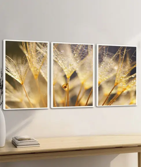 Quadros Decorativos Flores Folhagem Dente de Leão Moldura