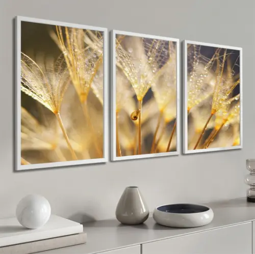 Quadros Decorativos Flores Folhagem Dente de Leão Moldura