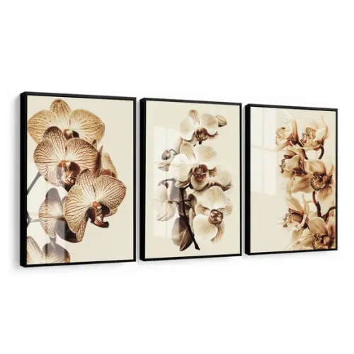 Quadros Decorativos Flores Orquídea Bege Com Moldura E Vidro