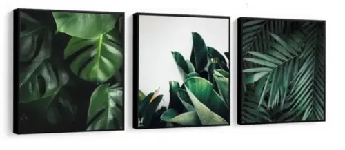 Quadros Decorativos Flores Plantas Folhagem Verde Molduras