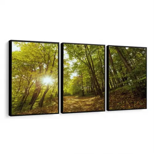 Quadros Decorativos Floresta Verde Paisagem Arvores Moldura
