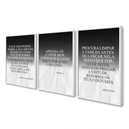 Quadros Decorativos Frases Filosofia Estoicismo Com Moldura