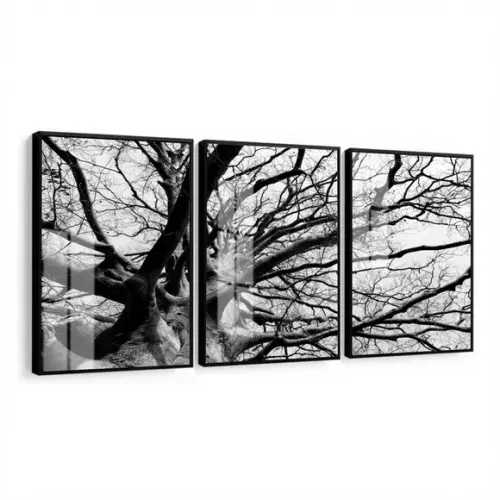 Quadros Decorativos Galhos Preto e Branco Moldura e Vidro