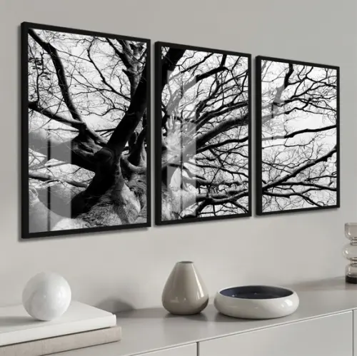 Quadros Decorativos Galhos Preto e Branco Moldura e Vidro
