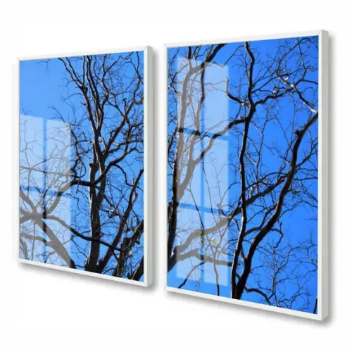 Quadros Decorativos Galhos Secos Para Sala Moldura e Vidro