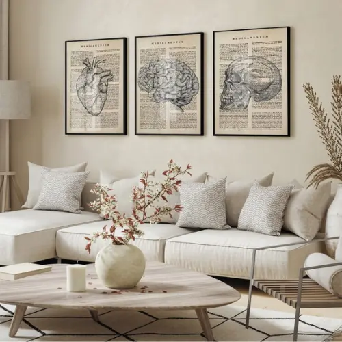 Quadros Decorativos Medicina Consultório Anatomia com Vidro