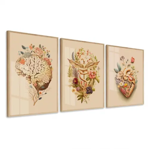 Quadros Decorativos Medicina Consultório com Moldura e Vidro