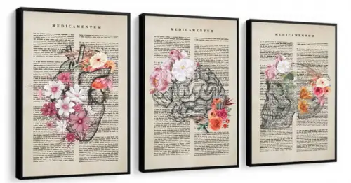 Quadros Decorativos Medicina Consultório Flores Com Moldura