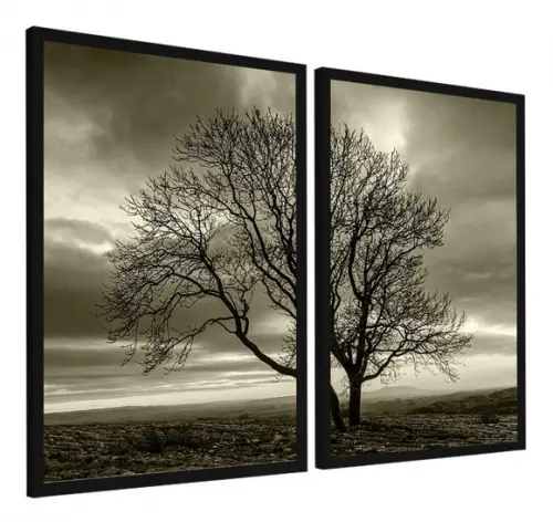 Quadros Decorativos Modernos Arvore Preto e Branco Moldura