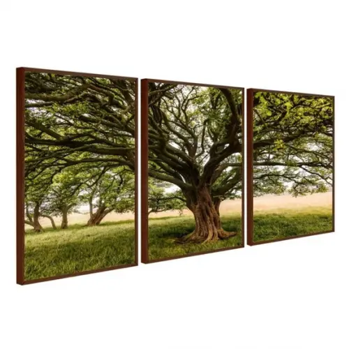 Quadros Decorativos Modernos Arvore Verde Paisagem Moldura