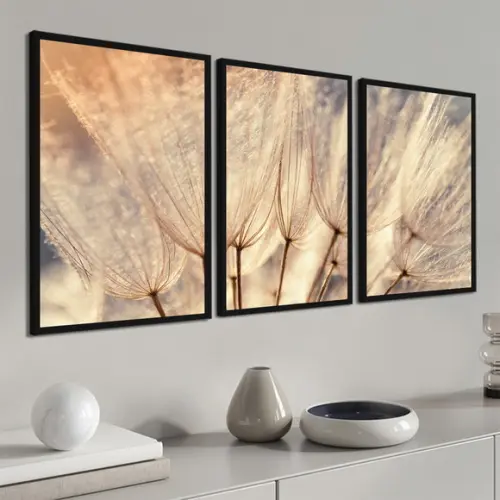 Quadros Decorativos Modernos Dente de Leão Folhagem Moldura