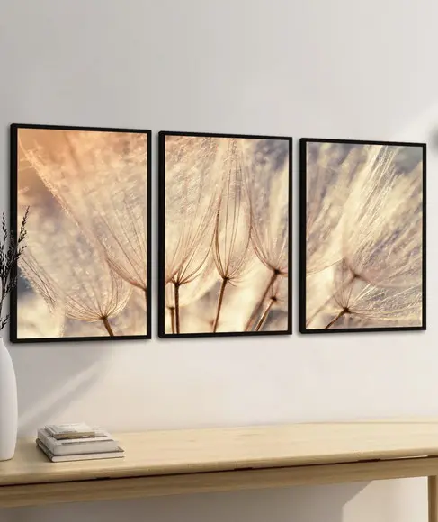 Quadros Decorativos Modernos Dente de Leão Folhagem Moldura