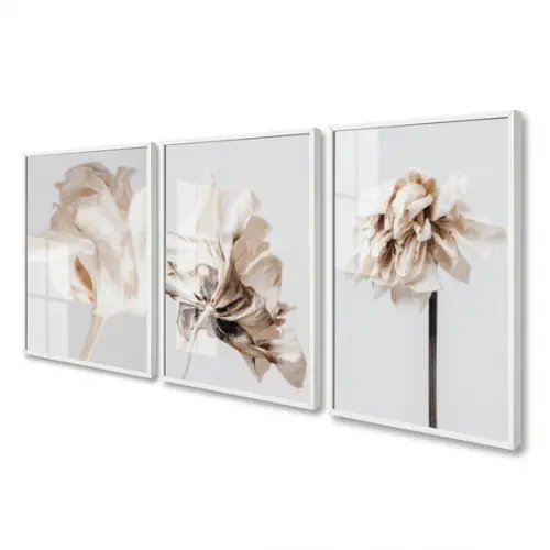 Quadros Decorativos Modernos Flores Brancas Moldura E Vidro