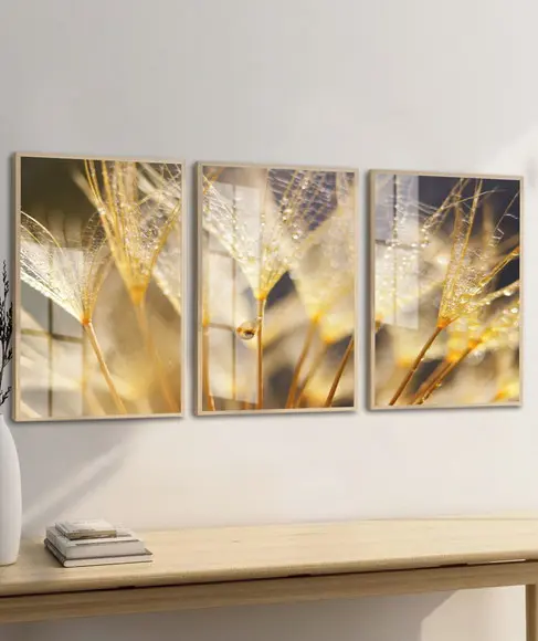 Quadros Decorativos Modernos Flores Dente de Leão com Vidro