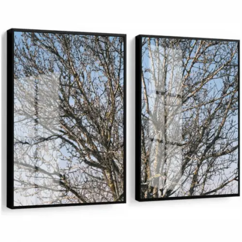 Quadros Decorativos Modernos Paisagem Galhos Moldura e Vidro