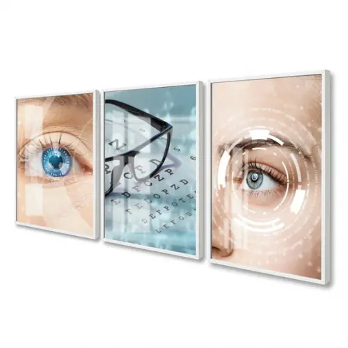 Quadros Decorativos Oftalmologia Consultório Moldura e Vidro