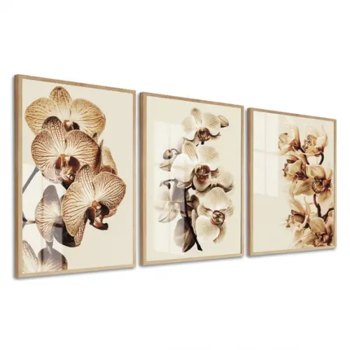 Quadros Decorativos Orquídea Bege Flores Com Moldura E Vidro