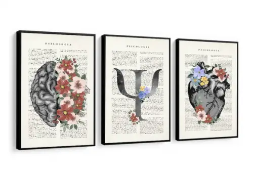 Quadros Decorativos Psicologia Medicina Consultório Moldura