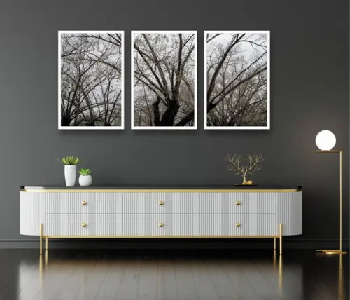 Trio De Quadros Decorativos Galhos Preto e Branco Moldura