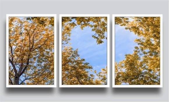 Foto da avaliação de Estela A.