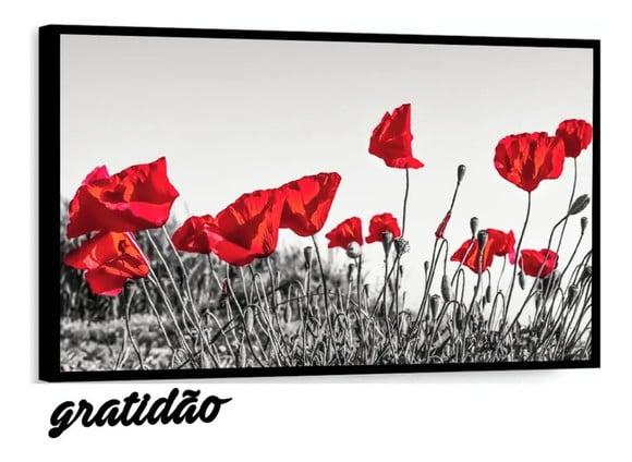 Foto da avaliação de rosa N.