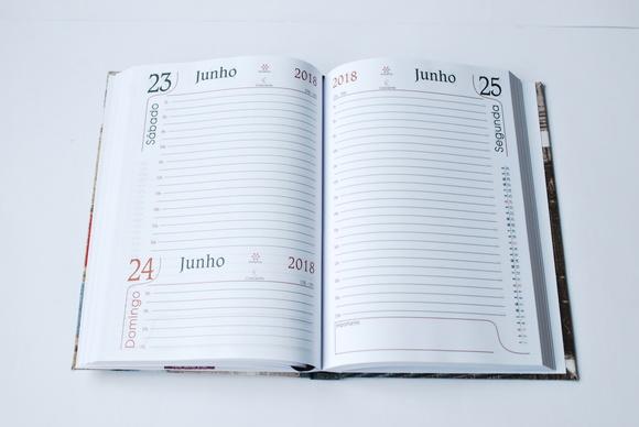 Agenda Feminina 2026 Personalizada