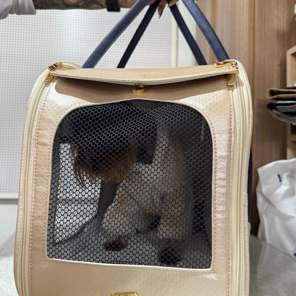 Bolsa de Transporte Pet