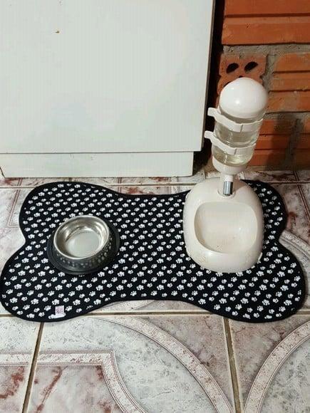 Tapete para pet.