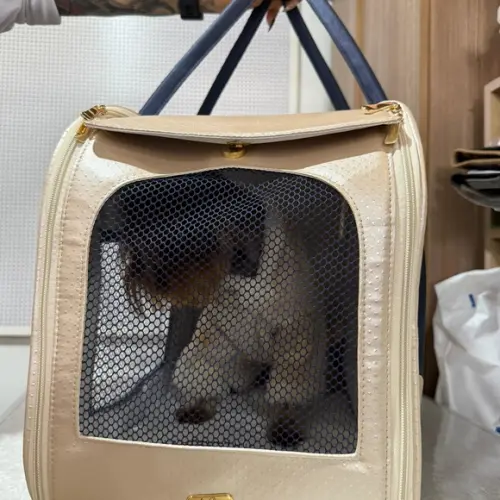 Bolsa de Transporte Pet