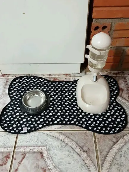 Tapete para pet.