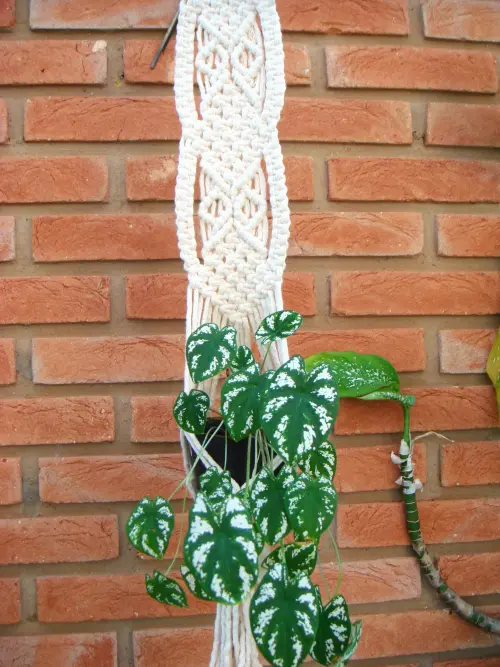 Suporte para Vasos Charlotte