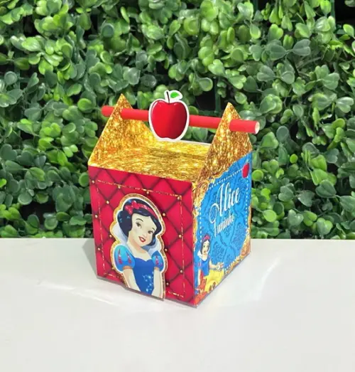 Caixa Canudo Branca de Neve