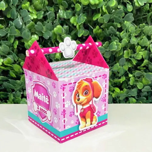 Caixa Canudo Skye Patrulha Canina
