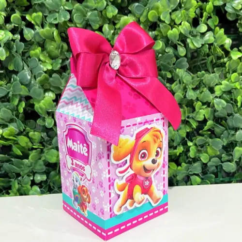 Personalizados Skye Patrulha Canina ( Kit 40 Caixas)