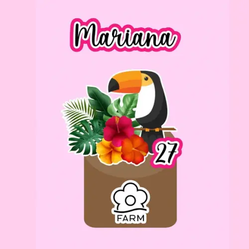 Topo de Bolo Farm Rio Personalizado