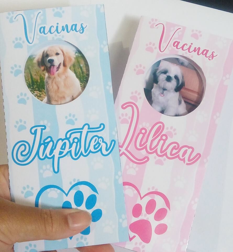 Arquivo de Corte Carteirinha vacina Pet