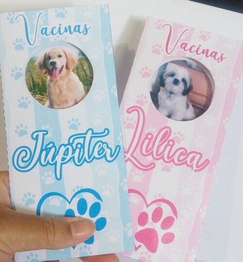 Arquivo de Corte Carteirinha vacina Pet