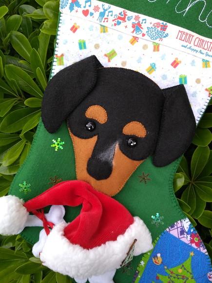Bota Meia Natal Bichinho de Estimação