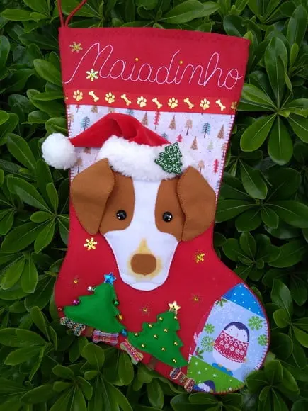 Bota Meia Natal Bichinho de Estimação