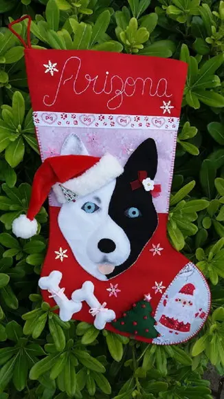 Bota Meia Natal Bichinho de Estimação Pet