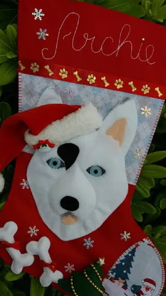 Bota Meia Natal Bichinho de Estimação Pet
