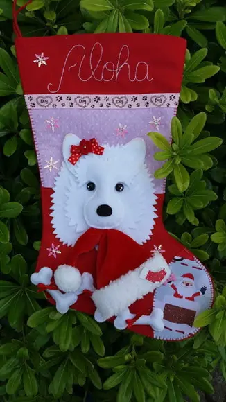 Bota Meia Natal Bichinho de Estimação Pet