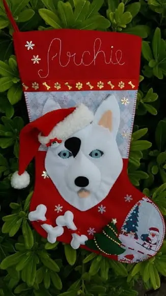 Bota Meia Natal Bichinho de Estimação Pet