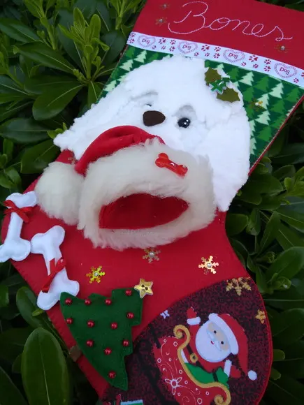 Bota Natal Bichinho de Estimação